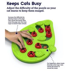 a green tray with red ladybugs on it and instructions for how to use them