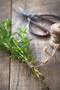 a sprig of rosemary next to some twine and scissors on a wooden table