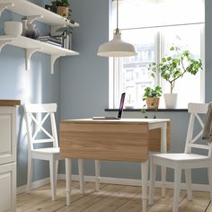 a kitchen with blue walls and white chairs in front of a table, potted plant on the counter