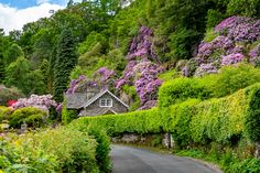 a house surrounded by lush green bushes and flowers on the side of a mountain road