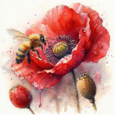 a watercolor painting of a red flower with two bees on it and drops of dew