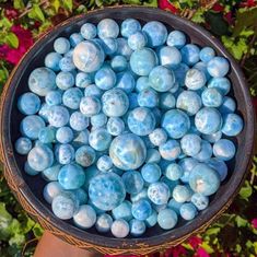 a bowl filled with blue marbles sitting on top of a lush green plant covered in pink flowers