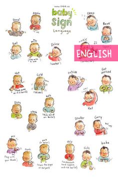 an english language poster with babys and their names in different languages, including english