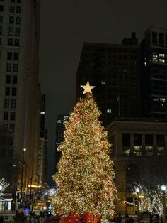 a large christmas tree in the middle of a city