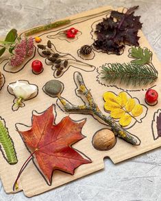 an assortment of autumn leaves and other items on a piece of paper with acorns