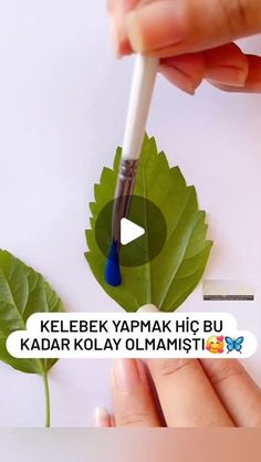 a person holding a pen and writing on a leaf with the caption kelebek yapmak hij bu kadar kolay olamaisti