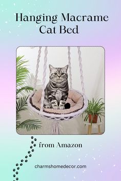 a cat sitting in a hammock bed with the caption hanging macrame cat bed from amazon