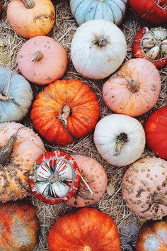 pumpkins and gourds are piled together in the hay