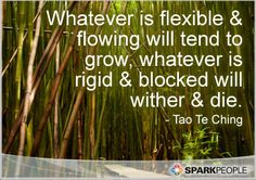 a bamboo forest with the quote whatever is flexible and flowing will tend to grow, whatever is