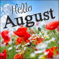 the words hello august are written in black on a field of red and white flowers