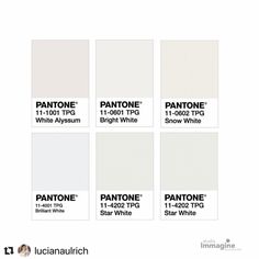 pantone's white paint swatches