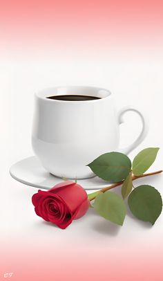 a cup of coffee and a single rose on a saucer, with pink background