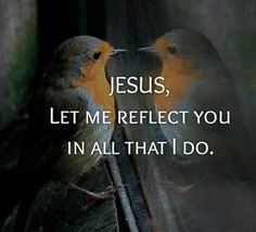 two birds sitting next to each other on a window sill with the words jesus, let me reflect you in all that i do