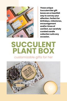 the succulent plant box is filled with chocolates, candles and other gift items