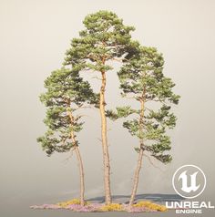 two pine trees on an island in the middle of foggy water with flowers growing from them