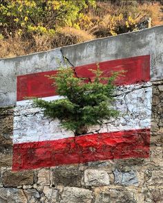 a flag painted on the side of a stone wall with a tree growing in it