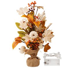 a vase filled with lots of different types of fall leaves and flowers next to a glass box