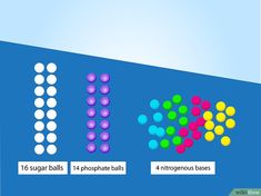 four different colored balls are shown in this graphic