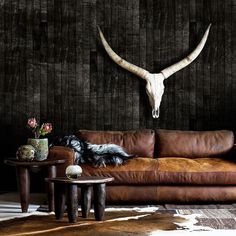 a dog laying on top of a brown couch in front of a cow skull wall