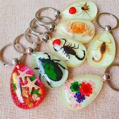 six different key chains with pictures of bugs and sea creatures on them, all in various shapes and sizes