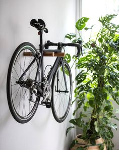 a bike hanging on the wall next to a potted plant