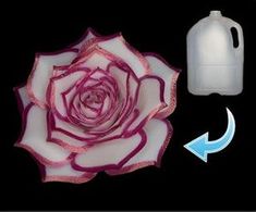 a pink and white flower is shown next to a gallon of water on a black background