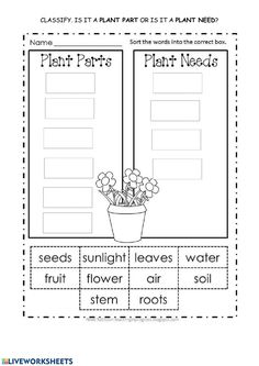 plant parts worksheet with flowers and plants in the pot on top of it