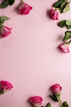 pink roses on a pink background with green leaves and stems arranged in the shape of a rectangle