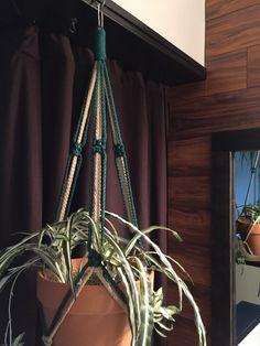 a potted plant hanging from a rope in front of a window with curtains behind it