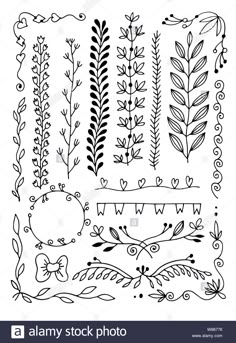 a set of hand drawn floral design elements