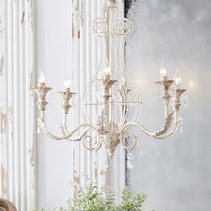 a white chandelier hanging from the ceiling next to a potted plant in front of a mirror