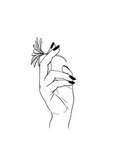 a drawing of a hand holding a flower