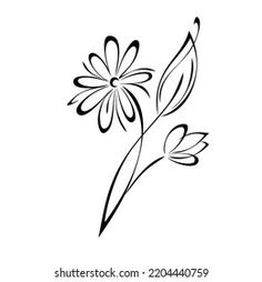 a black and white flower on a white background