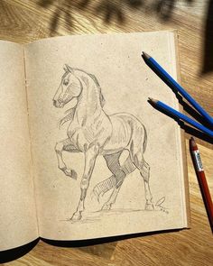 an open book with a drawing of a horse on the cover and pencils next to it