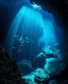 an underwater cave filled with lots of rocks and fish swimming in the water under it