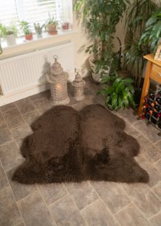 a large brown rug on the floor in a room with potted plants and other decorations