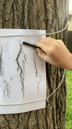 a person is writing on a piece of paper attached to a tree with a black marker