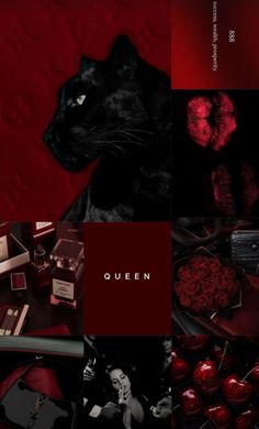 a collage of red images with black cats and other things in them, including lipstick