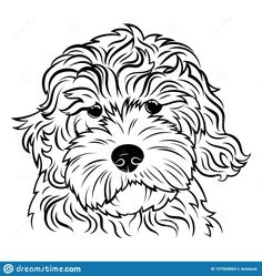 a dog's face with long hair and big eyes in black and white colors