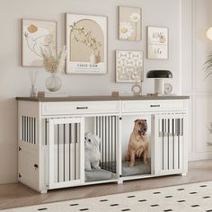 two dogs are sitting in their kennels