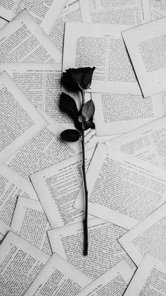 black and white photograph of a single rose on top of old book pages with the word love written in it