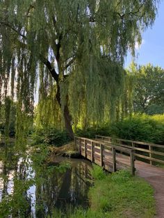 #nature #naturelovers #naturebeauty #natureinspired #free #freedom #living #life #love #serene #tranquility #water #trees #creation House With Willow Tree, Country List, Weeping Willow Tree, Pretty Trees, Meditation Garden, Green Country, Weeping Willow, Countries In The World