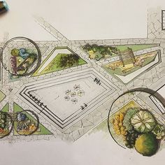 an artistic drawing of a garden design