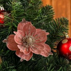 a christmas tree with ornaments on it and a red ornament hanging from the branch