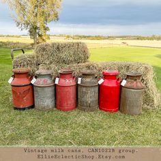 an assortment of vintage milk cans in front of hay bales