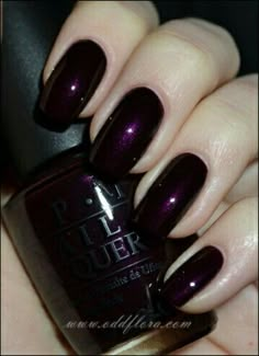 Orly Dip Nails Wine Color, Dark Purple Nail Polish, Purple Manicure, Dark Purple Nails, Purple Nail Polish, Purple Nail, Colorful Nail Designs, Fabulous Nails, Dream Nails