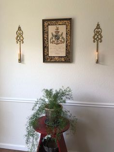 a potted plant sitting on top of a red table next to two wall hooks