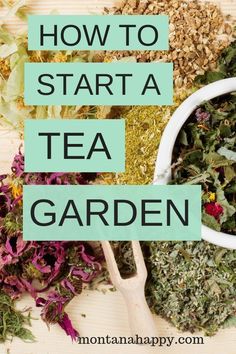 how to start a tea garden