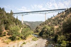 a bridge over a river in the middle of a forest