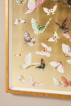 a group of colorful butterflies on display in a gold framed art piece with white walls